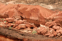 Marks of Geological History