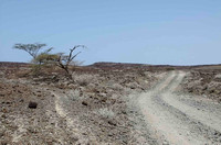 Rough road, remote desert