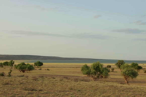 Green trees, yellow grass and the blue lake